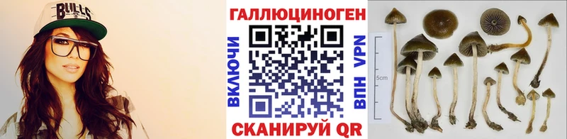 Купить закладки  Менделеевск  Псилоцибиновые грибы GOLDEN TEACHER 